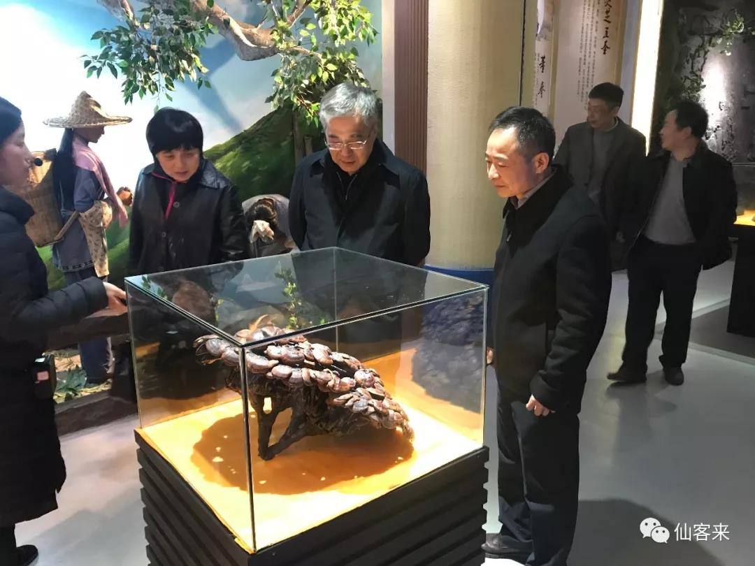 中國(guó)靈芝十大品牌|仙客來(lái)靈芝|仙客來(lái)靈芝破壁孢子粉|仙客來(lái)孢子油|仙客來(lái)靈芝飲片|仙客來(lái)破壁孢子粉|仙客來(lái)靈芝中藥飲片|馳名商標(biāo)|www.clgj56.com.cn|