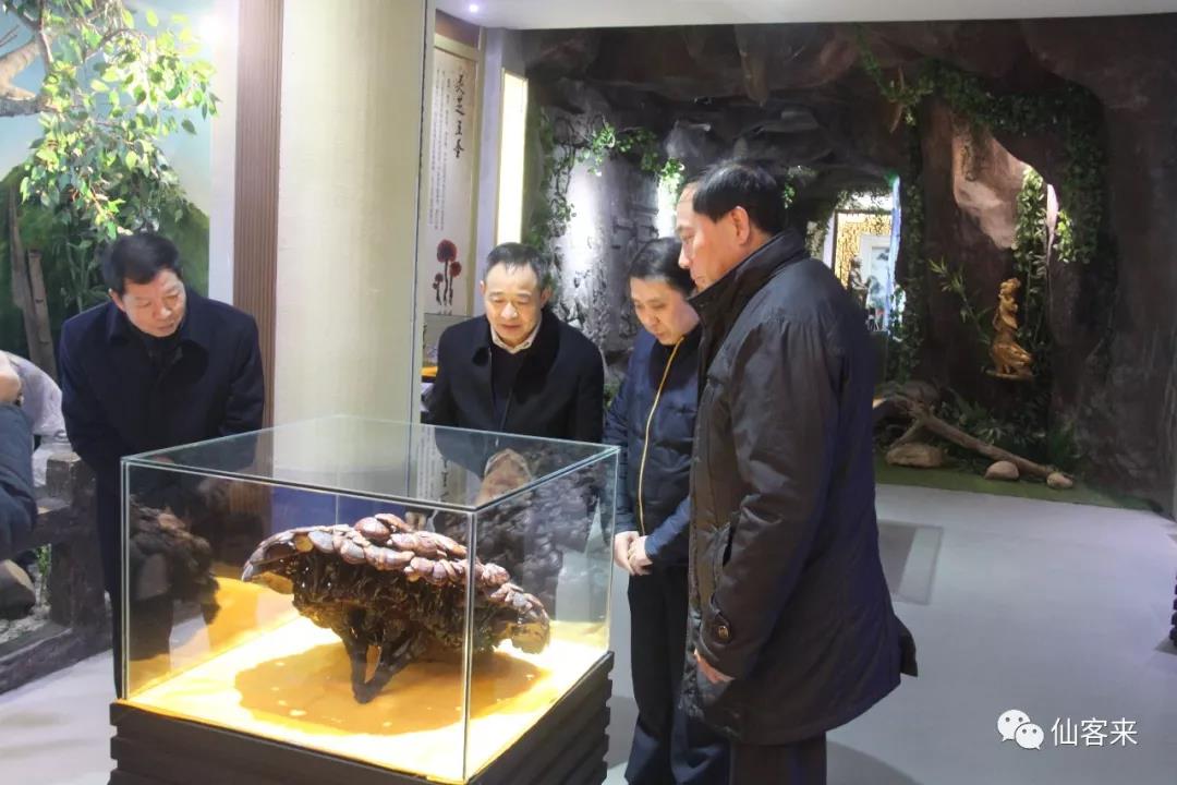 中國(guó)靈芝十大品牌|仙客來(lái)靈芝|仙客來(lái)靈芝破壁孢子粉|仙客來(lái)孢子油|仙客來(lái)靈芝飲片|仙客來(lái)破壁孢子粉|仙客來(lái)靈芝中藥飲片|馳名商標(biāo)|www.clgj56.com.cn|