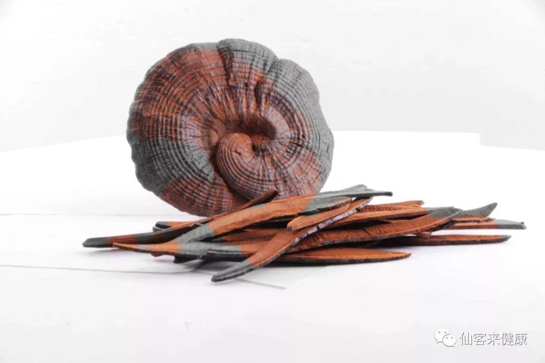 中國靈芝十大品牌|仙客來靈芝|仙客來靈芝破壁孢子粉|仙客來孢子油|仙客來靈芝飲片|仙客來破壁孢子粉|仙客來靈芝中藥飲片|馳名商標(biāo)|www.clgj56.com.cn|