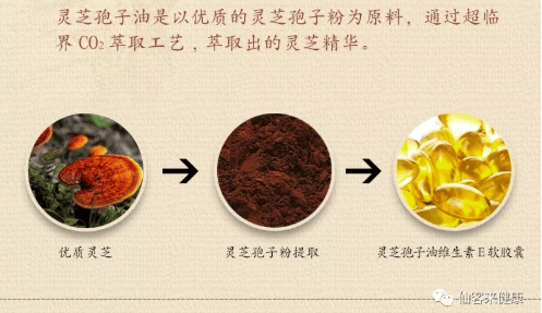 中國靈芝十大品牌|仙客來靈芝|仙客來靈芝破壁孢子粉|仙客來孢子油|仙客來靈芝飲片|仙客來破壁孢子粉|仙客來靈芝中藥飲片|馳名商標|www.clgj56.com.cn|