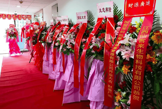 中國靈芝十大品牌|仙客來靈芝|仙客來靈芝破壁孢子粉|仙客來孢子油|仙客來靈芝飲片|仙客來破壁孢子粉|仙客來靈芝中藥飲片|馳名商標(biāo)|www.clgj56.com.cn|