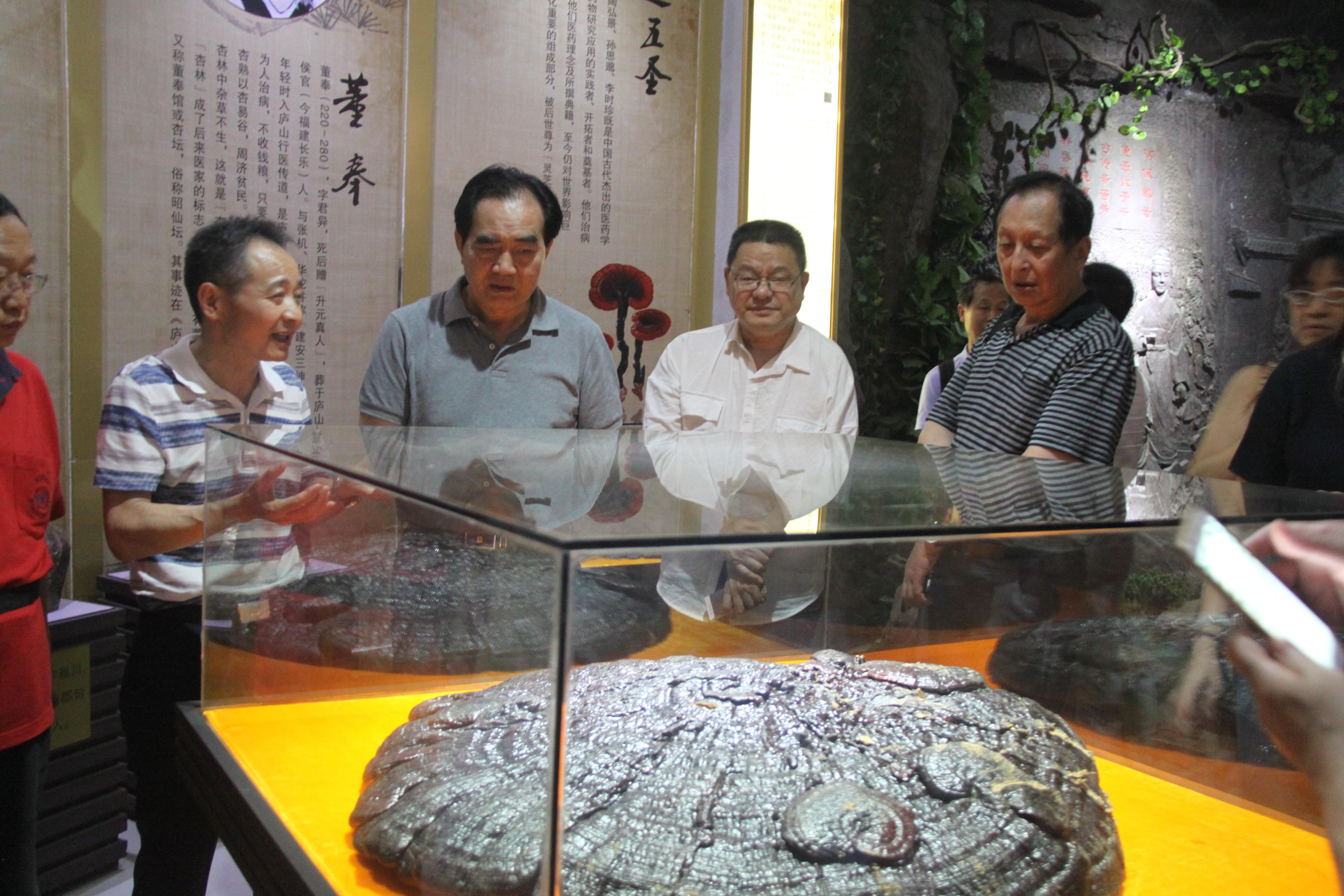 中國靈芝十大品牌|仙客來靈芝|仙客來靈芝破壁孢子粉|仙客來孢子油|仙客來靈芝飲片|仙客來破壁孢子粉|仙客來靈芝中藥飲片|馳名商標(biāo)|www.clgj56.com.cn|