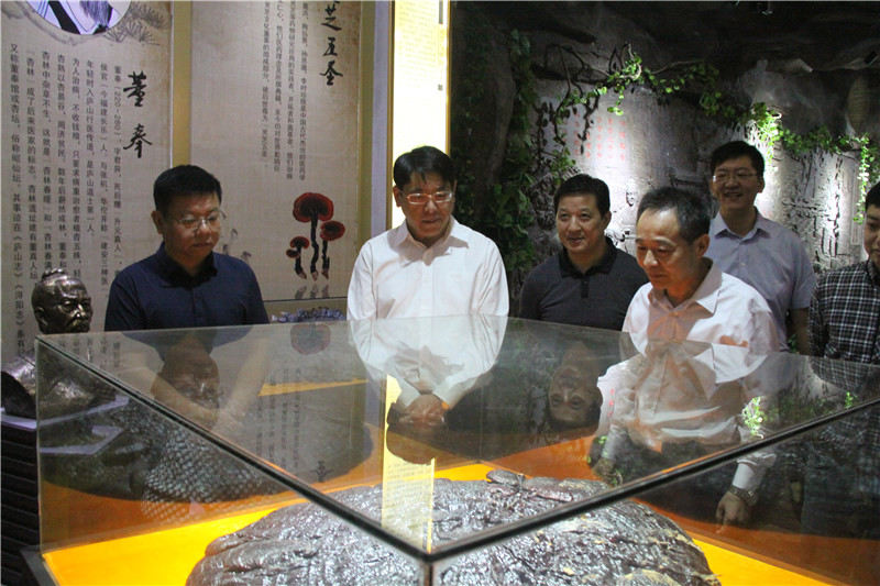 中國靈芝十大品牌|仙客來靈芝|仙客來靈芝破壁孢子粉|仙客來孢子油|仙客來靈芝飲片|仙客來破壁孢子粉|仙客來靈芝中藥飲片|馳名商標|www.clgj56.com.cn|