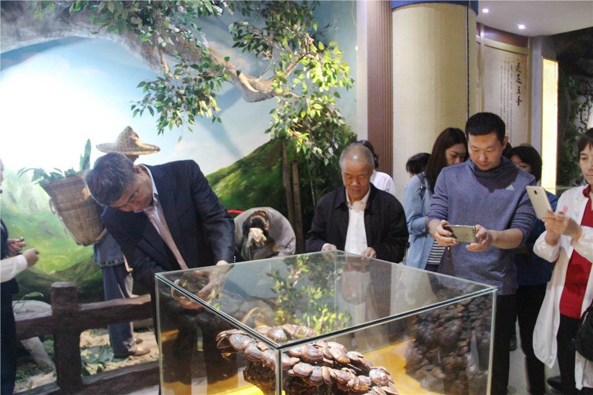 中國靈芝十大品牌|仙客來靈芝|仙客來靈芝破壁孢子粉|仙客來孢子油|仙客來靈芝飲片|仙客來破壁孢子粉|仙客來靈芝中藥飲片|馳名商標(biāo)|www.clgj56.com.cn|