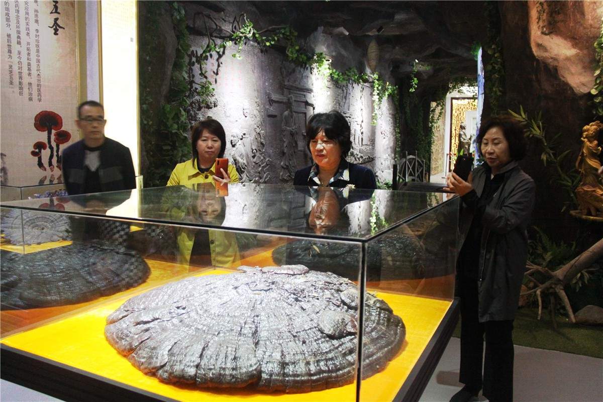 中國靈芝十大品牌|仙客來靈芝|仙客來靈芝破壁孢子粉|仙客來孢子油|仙客來靈芝飲片|仙客來破壁孢子粉|仙客來靈芝中藥飲片|馳名商標(biāo)|www.clgj56.com.cn|