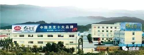 中國靈芝十大品牌|仙客來靈芝|仙客來靈芝破壁孢子粉|仙客來孢子油|仙客來靈芝飲片|仙客來破壁孢子粉|仙客來靈芝中藥飲片|馳名商標|www.clgj56.com.cn|