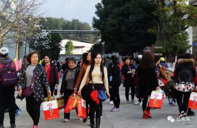 中國靈芝十大品牌|仙客來靈芝|仙客來靈芝破壁孢子粉|仙客來孢子油|仙客來靈芝飲片|仙客來破壁孢子粉|仙客來靈芝中藥飲片|馳名商標|www.clgj56.com.cn|