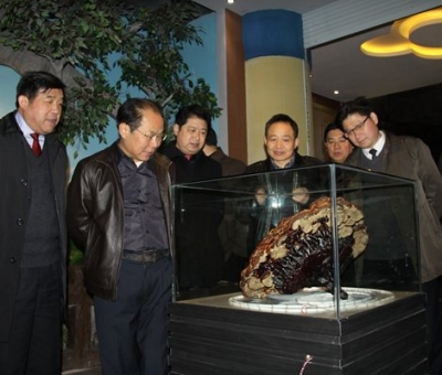 市委常委、宣傳部長潘熙寧，副市長盧天錫蒞臨仙客來公司走訪