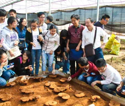九江學院師生在仙客來公司舉行實踐活動