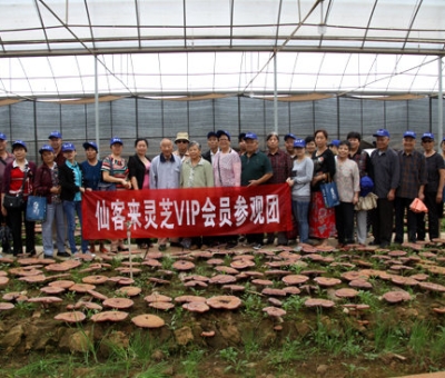 “慶國慶、賀重陽”專家義診活動在仙客來公司隆重舉行