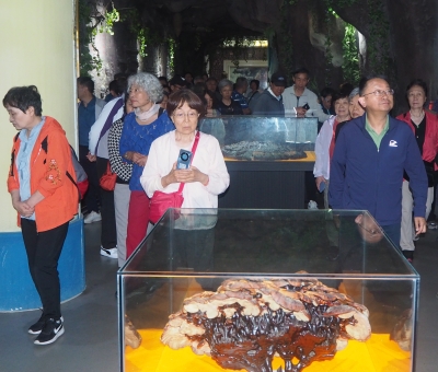 深深靈芝情！中華全國(guó)供銷合作總社再訪仙客來(lái)